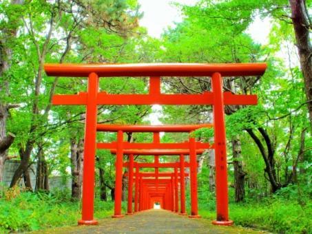 Villa Kyonoya Fushimi Inari Kioto Exterior foto